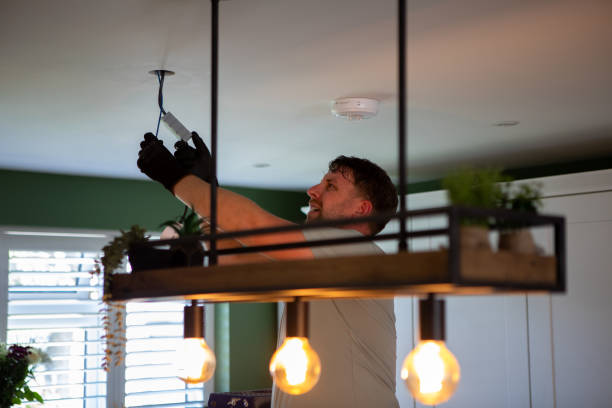Best Electrician for Home Renovation  in Rice Lake, WI