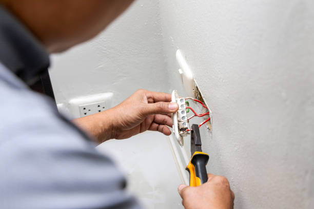 Best Electrician Near Me  in Rice Lake, WI